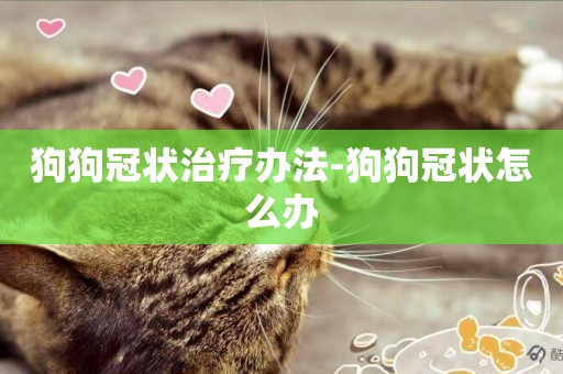 狗狗冠狀治療辦法-狗狗冠狀怎么辦