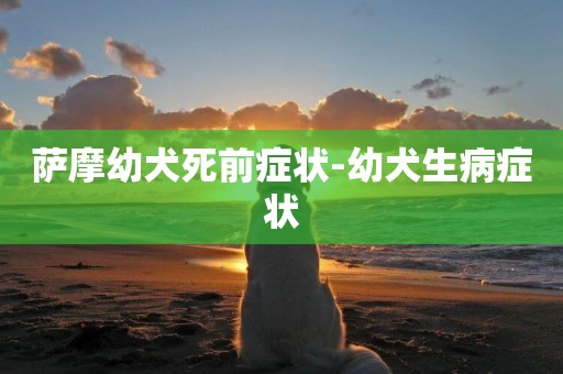 薩摩幼犬死前癥狀-幼犬生病癥狀