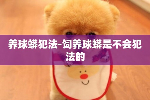 養球蟒犯法-飼養球蟒是不會犯法的