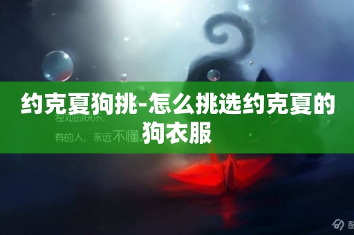 約克夏狗挑-怎么挑選約克夏的狗衣服