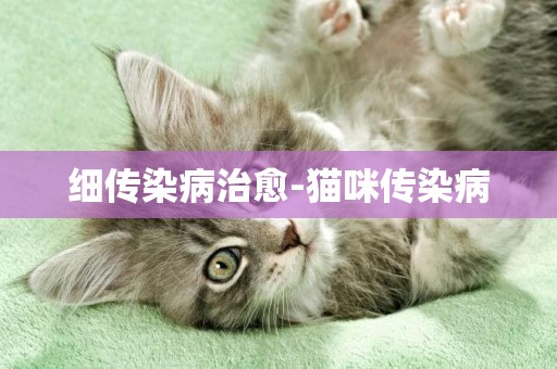 細傳染病治愈-貓咪傳染病