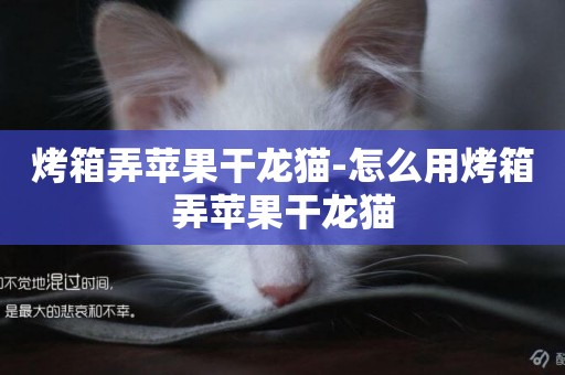 烤箱弄蘋果干龍貓-怎么用烤箱弄蘋果干龍貓