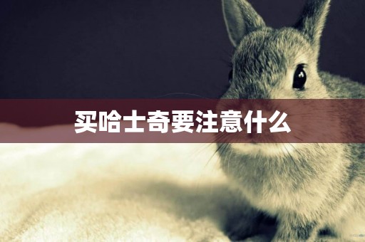 買哈士奇要注意什么