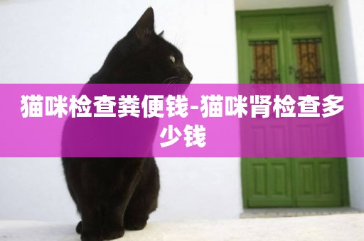 貓咪檢查糞便錢-貓咪腎檢查多少錢