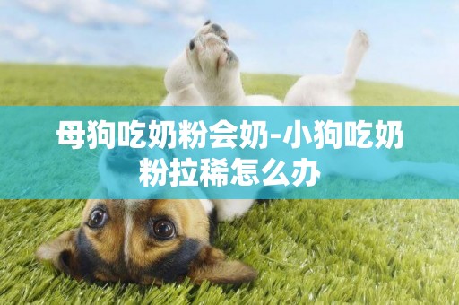 母狗吃奶粉會奶-小狗吃奶粉拉稀怎么辦