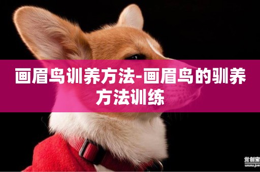 畫眉鳥訓養方法-畫眉鳥的馴養方法訓練