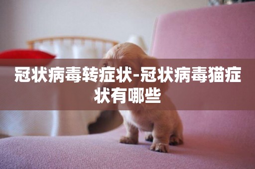 冠狀病毒轉癥狀-冠狀病毒貓癥狀有哪些