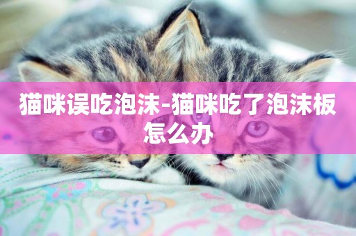 貓咪誤吃泡沫-貓咪吃了泡沫板怎么辦