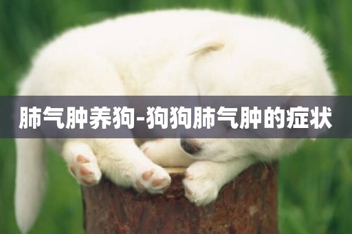 肺氣腫養狗-狗狗肺氣腫的癥狀
