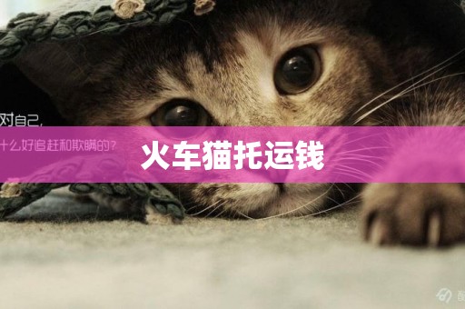 火車貓托運錢