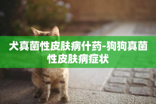 犬真菌性皮膚病什藥-狗狗真菌性皮膚病癥狀