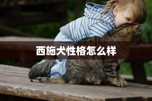 西施犬性格怎么樣