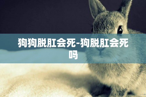 狗狗脫肛會死-狗脫肛會死嗎
