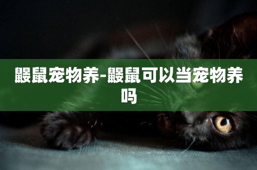 鼴鼠寵物養-鼴鼠可以當寵物養嗎