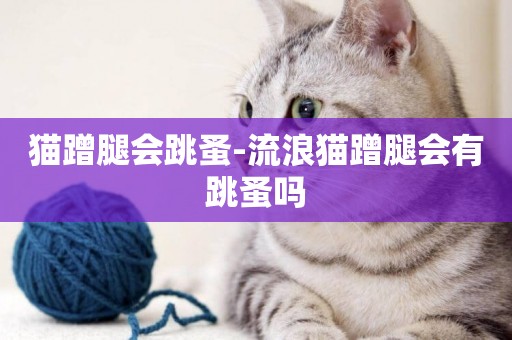 貓蹭腿會跳蚤-流浪貓蹭腿會有跳蚤嗎
