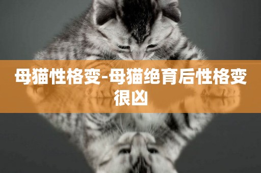 母貓性格變-母貓絕育后性格變很兇