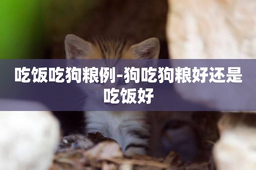 吃飯吃狗糧例-狗吃狗糧好還是吃飯好