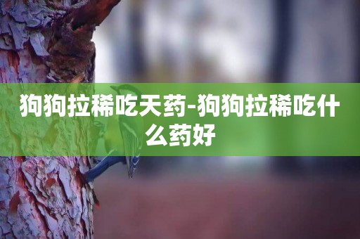 狗狗拉稀吃天藥-狗狗拉稀吃什么藥好
