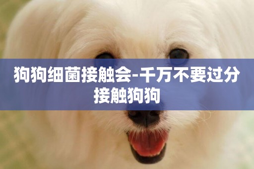 狗狗細菌接觸會-千萬不要過分接觸狗狗