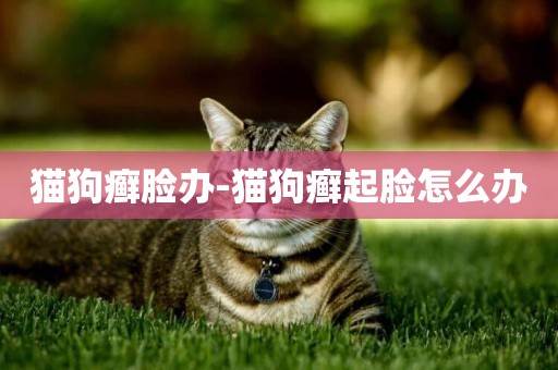 貓狗癬臉辦-貓狗癬起臉怎么辦
