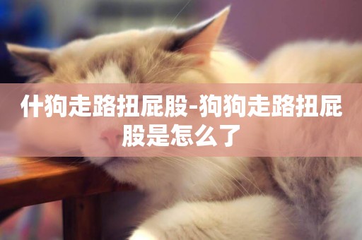 什狗走路扭屁股-狗狗走路扭屁股是怎么了