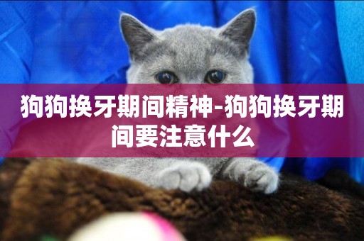 狗狗換牙期間精神-狗狗換牙期間要注意什么