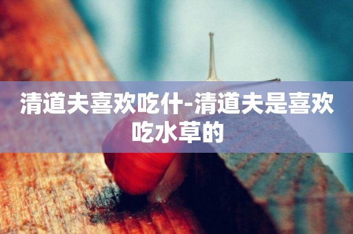 清道夫喜歡吃什-清道夫是喜歡吃水草的