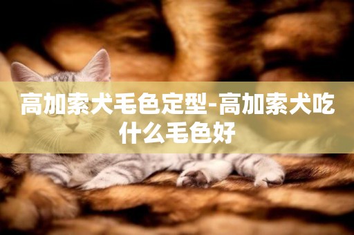 高加索犬毛色定型-高加索犬吃什么毛色好