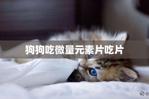 狗狗吃微量元素片吃片
