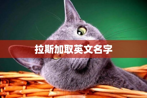 拉斯加取英文名字