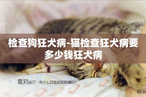 檢查狗狂犬病-貓檢查狂犬病要多少錢狂犬病