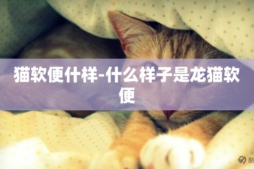 貓軟便什樣-什么樣子是龍貓軟便