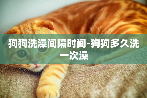 狗狗洗澡間隔時間-狗狗多久洗一次澡