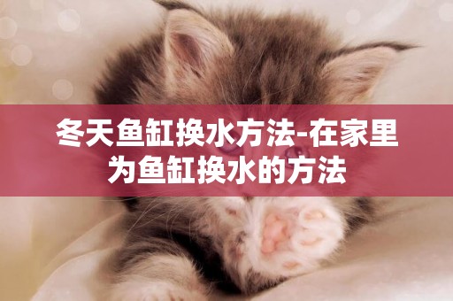 冬天魚缸換水方法-在家里為魚缸換水的方法