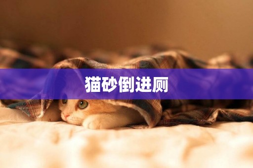 貓砂倒進廁