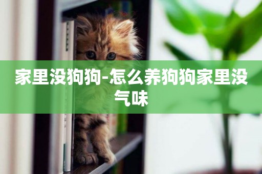 家里沒狗狗-怎么養狗狗家里沒氣味