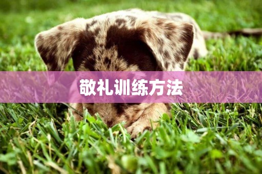 敬禮訓練方法