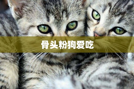 骨頭粉狗愛吃