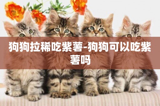 狗狗拉稀吃紫薯-狗狗可以吃紫薯嗎