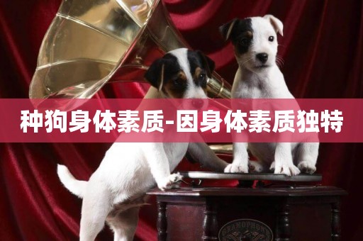 種狗身體素質-因身體素質獨特