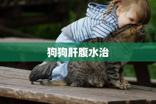 狗狗肝腹水治