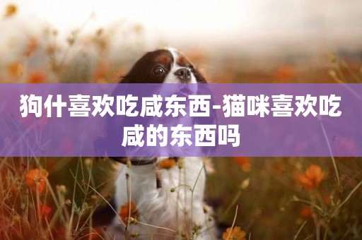 狗什喜歡吃咸東西-貓咪喜歡吃咸的東西嗎