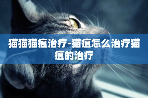 貓貓貓瘟治療-貓瘟怎么治療貓瘟的治療