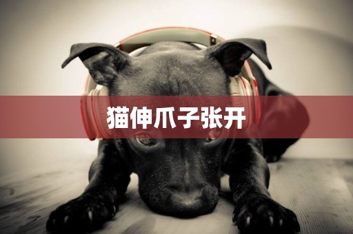 貓伸爪子張開