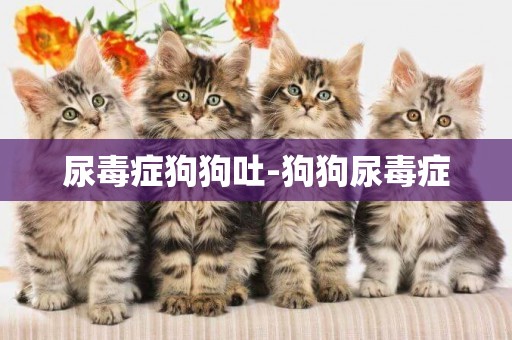 尿毒癥狗狗吐-狗狗尿毒癥