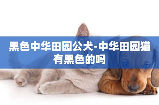 黑色中華田園公犬-中華田園貓有黑色的嗎