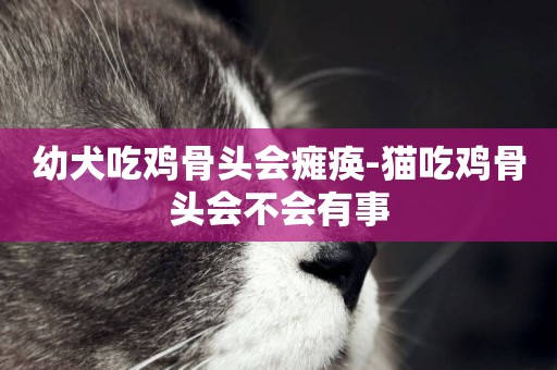 幼犬吃雞骨頭會癱瘓-貓吃雞骨頭會不會有事