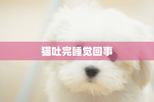 貓吐完睡覺回事