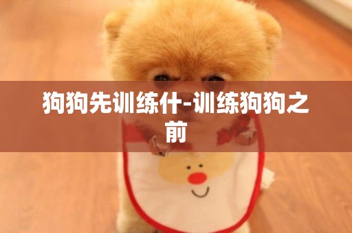 狗狗先訓練什-訓練狗狗之前