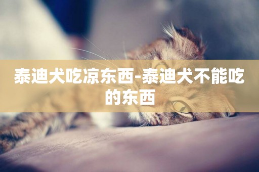 泰迪犬吃涼東西-泰迪犬不能吃的東西
